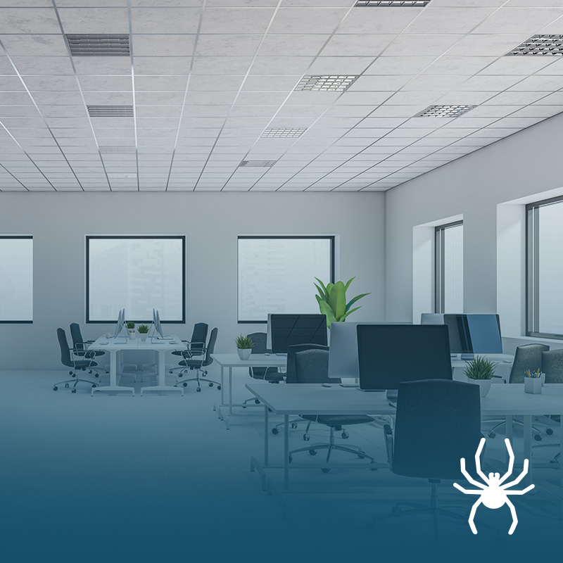 Commercial Pest Control