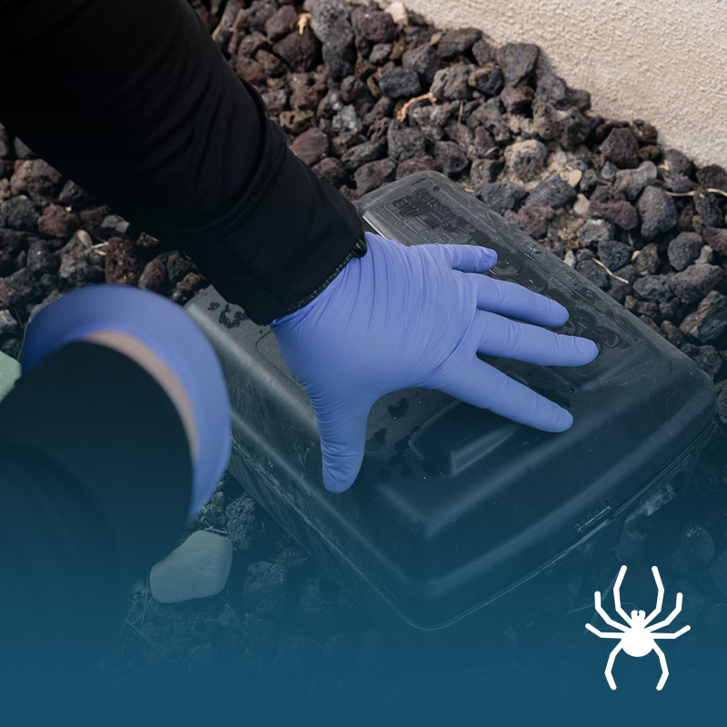 Residential Pest Control